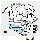 Distribution of Artemisia ludoviciana Nutt. ssp. albula (Woot.) D.D. Keck. . 