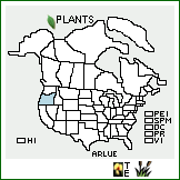 Distribution of Artemisia ludoviciana Nutt. ssp. estesii K.L. Chambers. . 