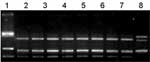 Appendix Figure 3.