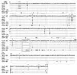 Appendix Figure 4.