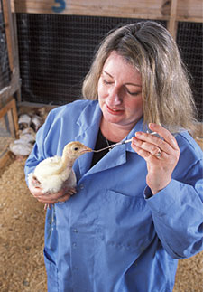 Bird being fed by staff member