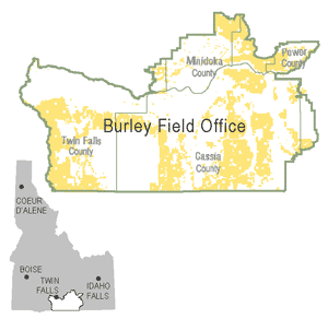 Burely Field Office