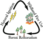 Logo:  Wildland Fire Amendment