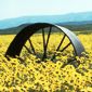 Wagon wheel in the Carrizo Plain National Monument