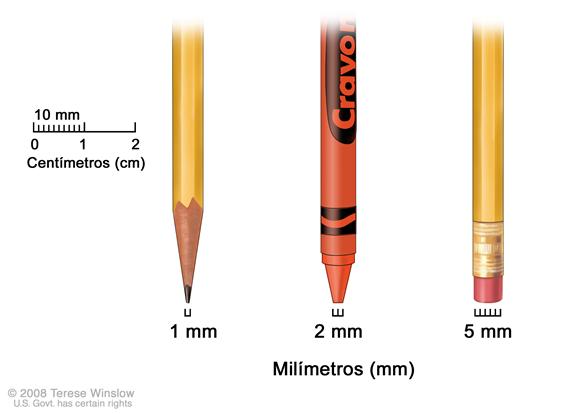 Milímetros; el dibujo muestra los milímetros (mm) usando objetos comunes. La punta de un lápiz afilado mide 1 mm, la punta de un lápiz de cera mide 2 mm y la goma de borrar nueva de un lápiz mide 5 mm.