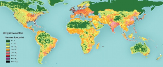 Map from Diaz and Rosenberg showing hypoxic zones throughout the world.