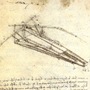 Leonardo Da Vinci's Ornithopter