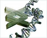 NHGRI logo with a DNA double-helix