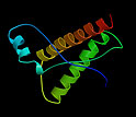 structure of a portion of the bovine prion protein