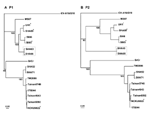 Appendix Figure.