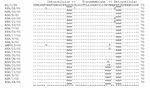 Appendix Figure.