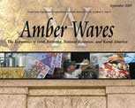 Amber Waves cover, September 2007