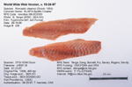 Spotfin Croaker Fillet image