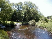 The Saugus River plays an important role in the habitat and biodiversity of Saugus Iron Works National Historic Site