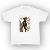 Ivory Billed Woodpecker t-shirts