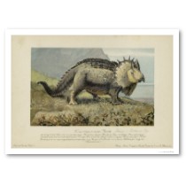 Triceratops Prorsus Marsh. posters