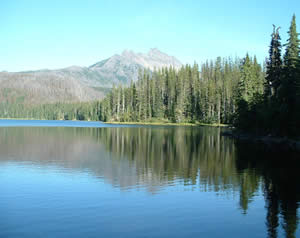 photo looking out over Duffy Lake showing green and burned areas 