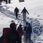 snowshoe walk