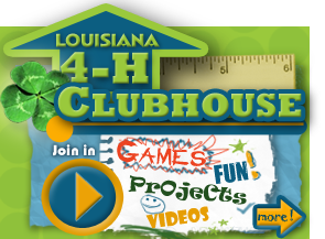 4-H Kids' Clubhouse