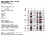 Calibrated Gel Image