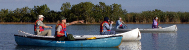 Canoeing Nine Mile Pond