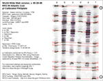 IEF Calibrated Gel image