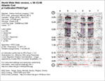 IEF Calibrated Gel image