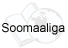 Non-English Information, this icon shows text for espanol, hmoob and soomaaliga
