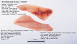 Sheepshead (fish) Fillet image