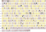 Appendix Figure 1.