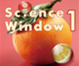 科学教育誌「Science Window」1月号発行