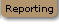 Reporting