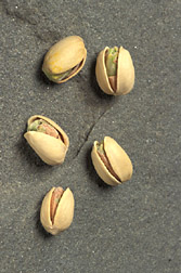 Pistachios