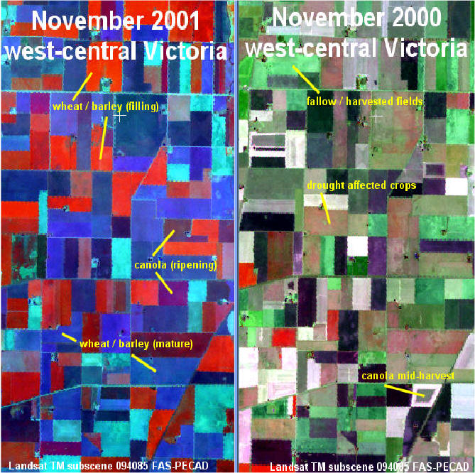 Satellite Imagery of Winter Grain Grain Areas: Year to Year Comparison
