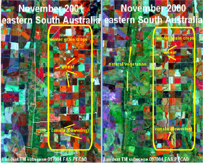 Satellite Imagery of Winter Grain Grain Areas: Year to Year Comparison