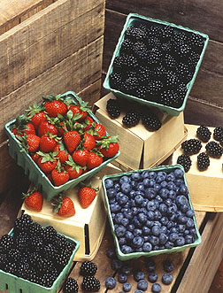 Photo: Display of fresh blackberries, strawberries and blueberries. Link to photo information