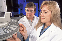 Geneticist and food science professor examine a vial of oil.