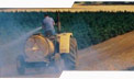 photo: farmer spraying burning crop with hose