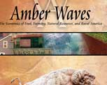 Cover of Amber Waves, November 2006 issue