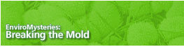 Enviromysteries: Breaking the Mold