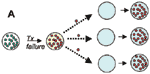 Figure. Four mechanisms by which antibiotic treatment can create selection for resistance in the population, ....