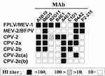 Figure 1. Antigenic profile of feline parvoviruses, including Canine parvovirus 2c (CPV-2c) types....