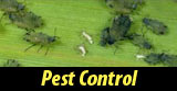 Pest Control