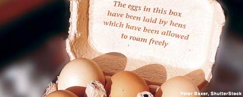 Photo: Egg carton with "free range" labeled