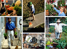 Photo collage: working in the garden; landscaping