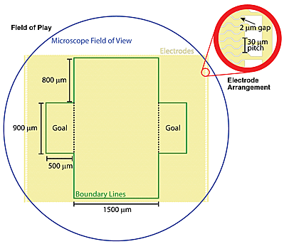 diagram of the field of play
