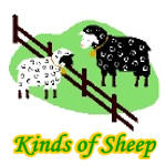 Kinds of Sheep logo