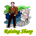 Raising sheep logo