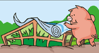 Pig covering up a greenhouse --> Courtesy of www.clipart.com