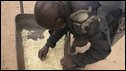 A man checks his grain after receiving it through the UK charity Oxfam in Chirumhanzi, south east of Harare.